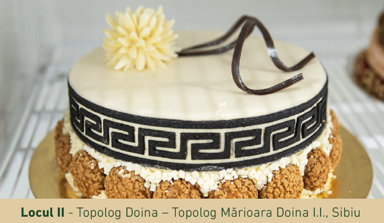 tortLoc2